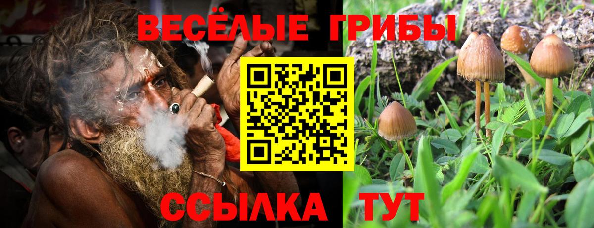 Галлюциногенные грибы MAGIC MUSHROOMS  Вход с VPN  купить закладку  Гусев  Псилоцибиновые грибы MAGIC MUSHROOMS 