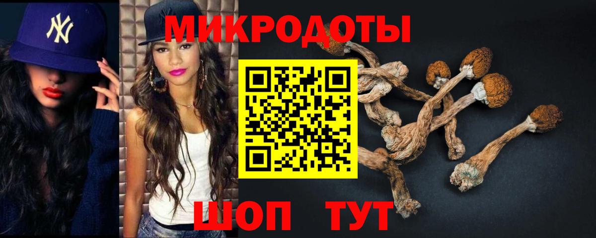 Псилоцибиновые грибы мухоморы Гусев